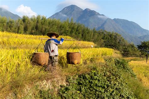 山水到順德多久時間？路程風情解析